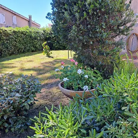 Mini Jardin 50 M Σπίτι διακοπών Borgo (Corsica)