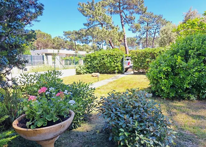 Hébergement de vacances Mini Jardin 50 M *