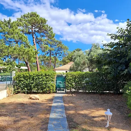 Mini Jardin 50 M * Borgo (Corsica)