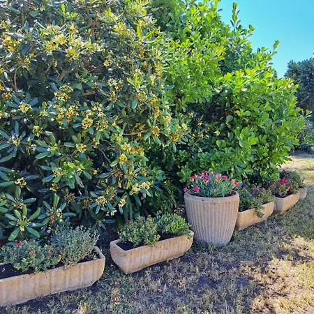 Mini Jardin 50 M Casa de Férias *