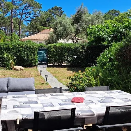 Vakantiehuis Mini Jardin 50 M Borgo (Corsica)