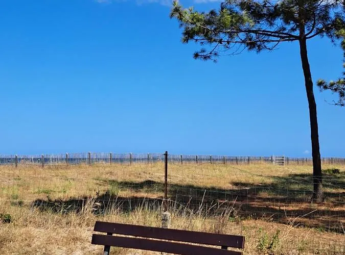 Casa de Férias Mini Jardin 50 M