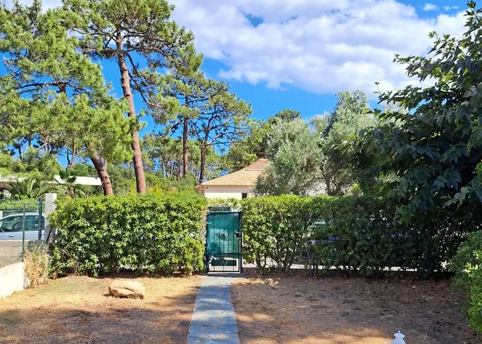 Mini Jardin 50 M * Borgo (Corsica)