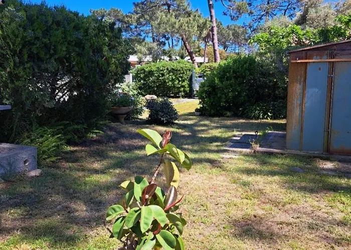 Mini Jardin 50 M *
