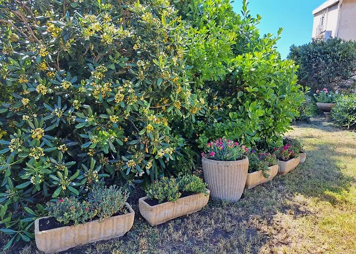 Mini Jardin 50 M 度假居 *