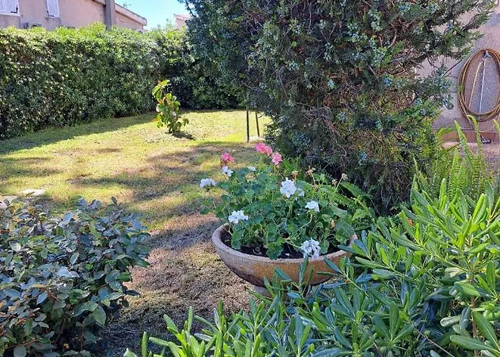 Mini Jardin 50 M Casa de Férias Borgo (Corsica)